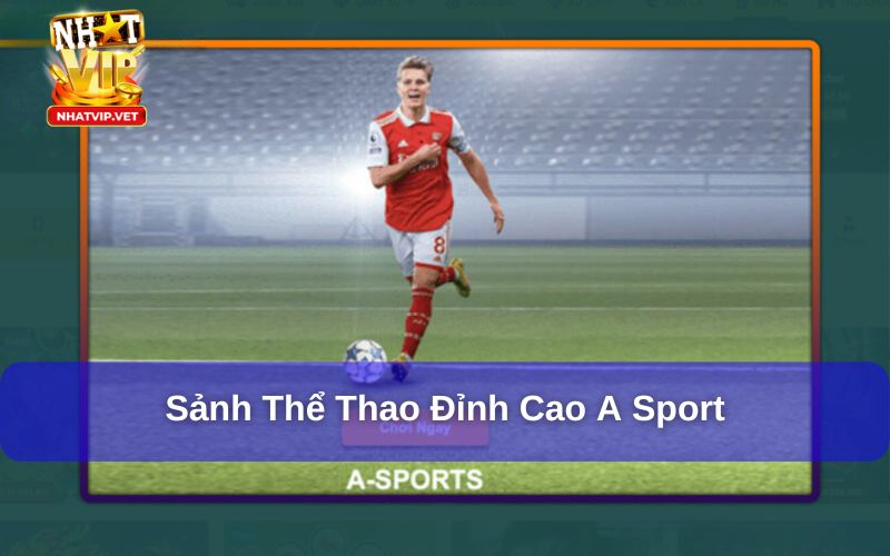 A Sport – Sảnh Cá Cược Thể Thao Đỉnh Cao Dành Cho Tín Đồ Soi Kèo